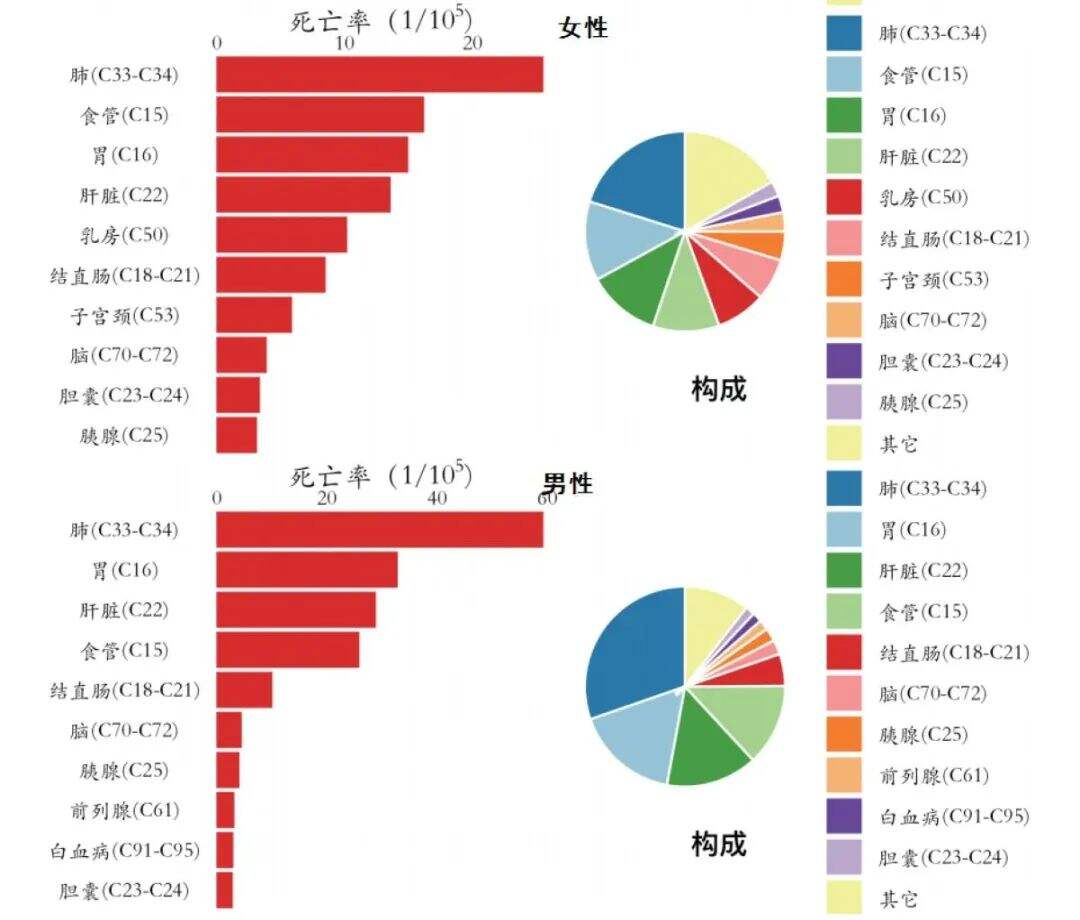 郑州晚报郑州客户端官方网站插图2