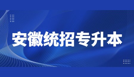 安徽统招专升本大学语文考试的内容要求和试卷结构形式插图