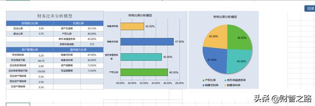 excel财务报表数据分析图表制作这13张表格做的财务报表分析软件插图11