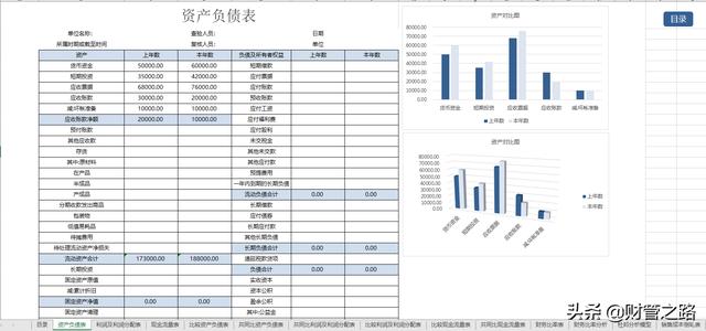 excel财务报表数据分析图表制作这13张表格做的财务报表分析软件插图1