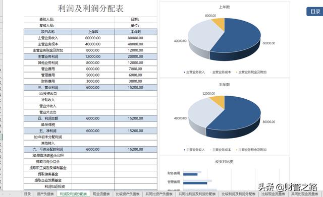 excel财务报表数据分析图表制作这13张表格做的财务报表分析软件插图2