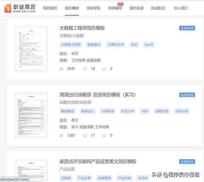 简历免费模板（免费简历模板下载）插图12