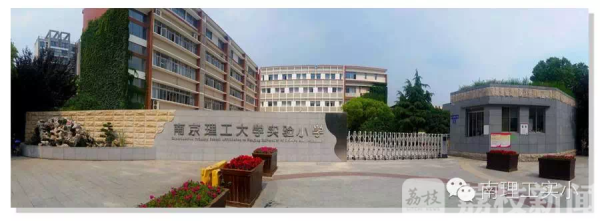 南京小学陆续家访部分学校生源暴增插图1