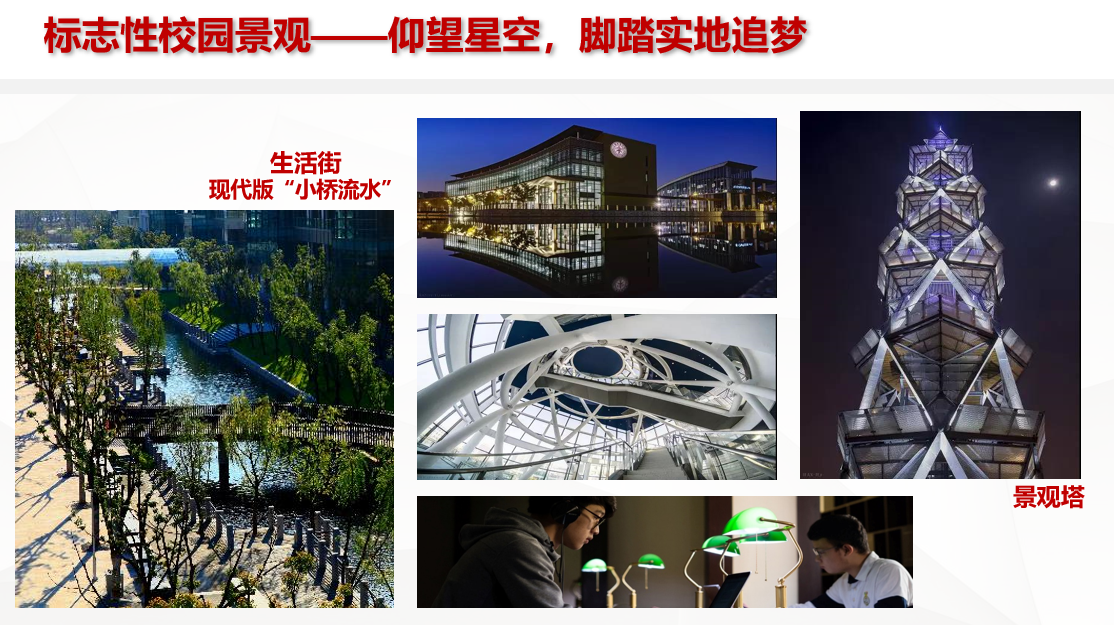 作为双一流高校的上海科技大学，您了解吗？插图16