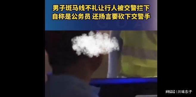 闹大了! 大连男子开车不礼让行人, 自称是公务员, 让交警闭嘴插图6