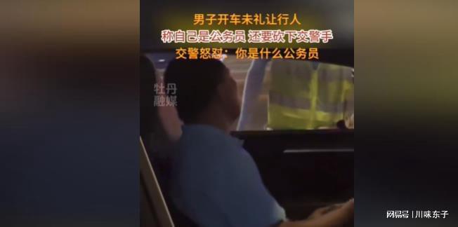 闹大了! 大连男子开车不礼让行人, 自称是公务员, 让交警闭嘴插图8