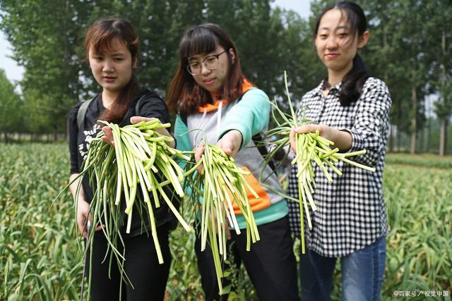 河南最好大学排名出炉，榜首实至名归，河南科大不敌河南理工?插图4